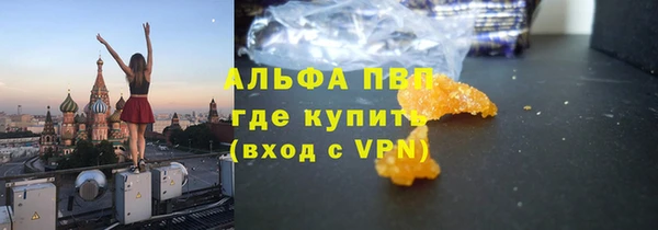 apvp Верея