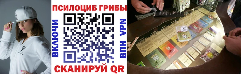 наркота  Владимир  Галлюциногенные грибы Cubensis 